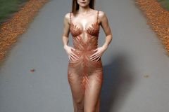 4NTLSIFD.K-NWUGDALE.Y