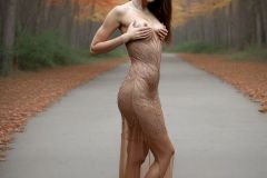 LIL5DM11.K-Q4355N5V.H